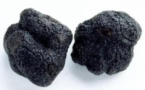 黑松露味道怎么样，黑松露臭吗