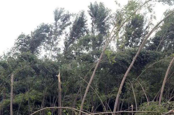 重庆小伙被大风吹起离地近三米 大风会把玻璃吹破吗