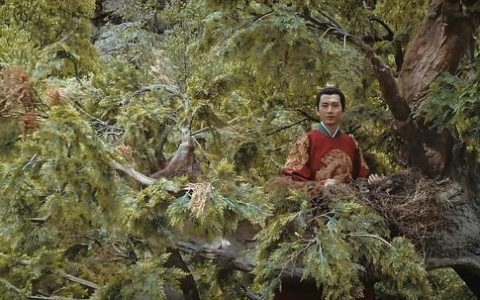 山河月明完整版720p(山河月明高清云播)