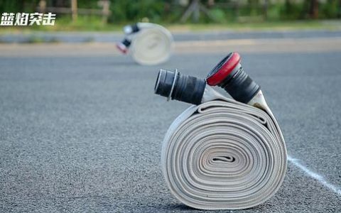 电视剧蓝焰突击免费在线观看(蓝焰突击手机在线免费观看全集)