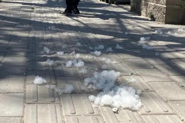 飞絮会传播新冠病毒吗？官方解答 新冠肺炎能附着在物体上传播么