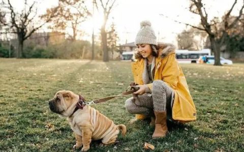 上海大爷遛狗被打，上海街上可以遛狗吗