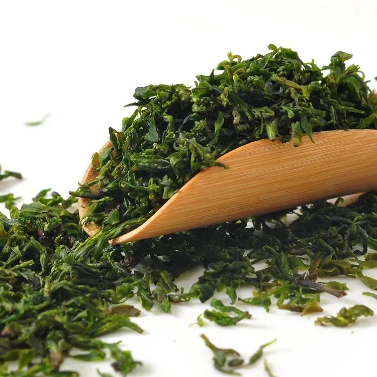 大小叶苦丁茶的区别，大叶苦丁茶和小叶苦丁茶有什么不同