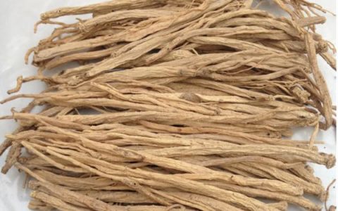 党参可以切片泡水喝吗，党参切成片是什么样子