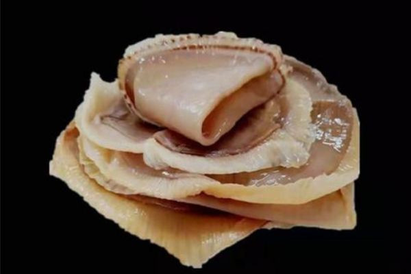 海蜇要煮熟在凉拌吗 海蜇煮熟后化了为什么