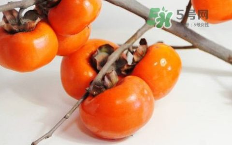 柿饼子多少钱1斤?，柿子饼一般多少钱一斤