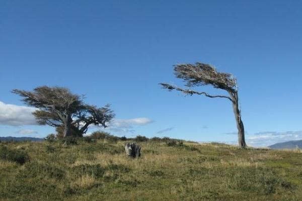 重庆小伙被大风吹起离地近三米 大风会把玻璃吹破吗