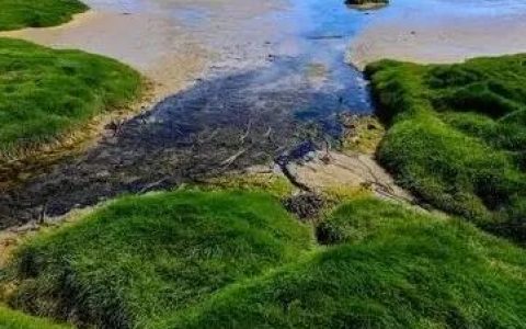 玄幻小说推荐《我在九叔世界里面努力加点修仙！》《灵魂画手》