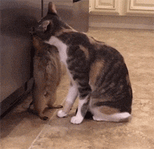 谈性：完美的doi一次，换多少姿势才正常？