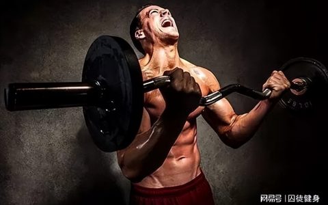 练肩背女生最好的动作(女生肩部训练动作)