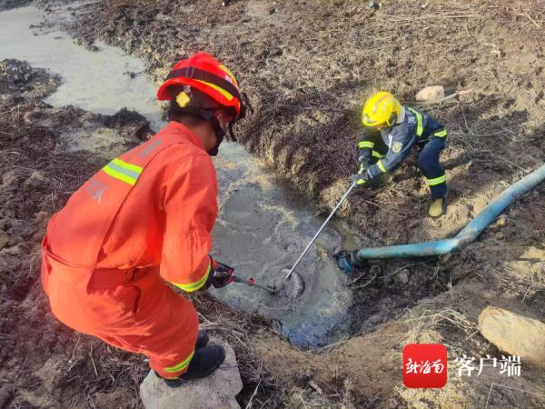遇到蛇要怎么办?海南消防员总结“防蛇攻略”,请收好