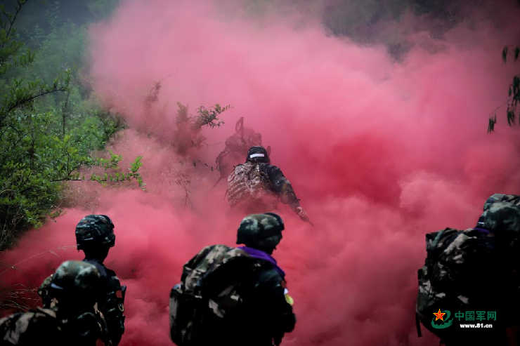 高清大图 | 特战队员训练的震撼瞬间