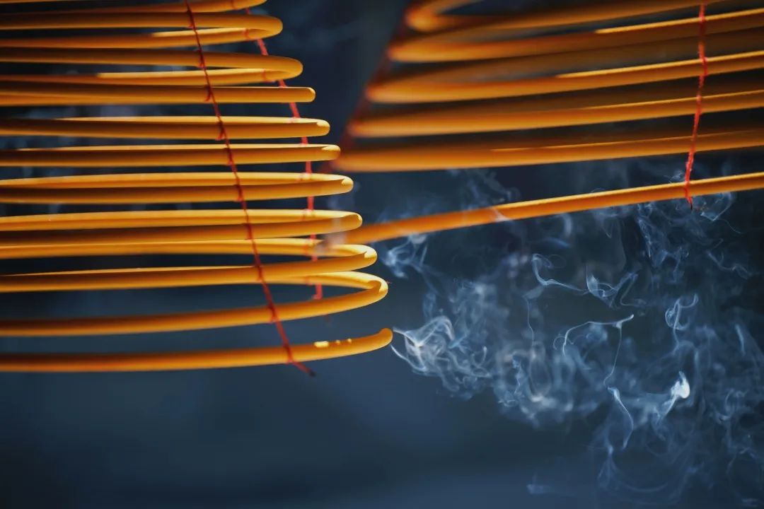 人生必去的普陀山，超全拜佛攻略整理好了