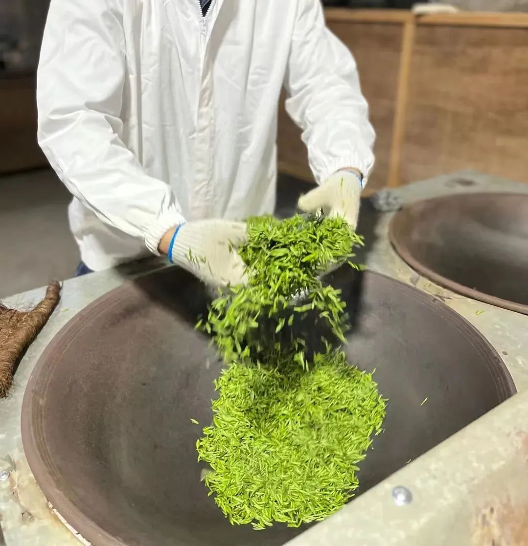 茶叶这些令人讨厌的味道，你喝到过几种？