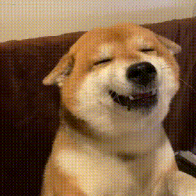 攻略 || 在牧院，如何有效的保持单身？