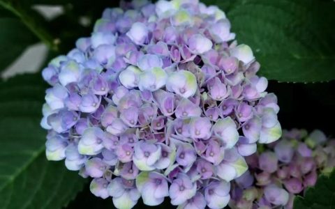 还有比这更糟糕的语气吗-