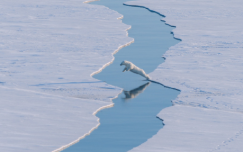 和男朋友吵架伤心的句子说说心情，和男朋友吵完架的心情说说