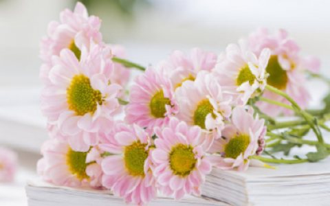 2020最火的微信昵称伤感，2022最新微信网名吸引女性