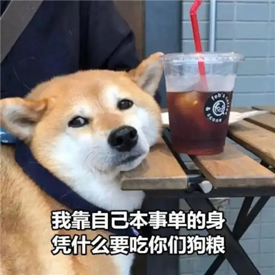 20单身狗的表情包，单身狗表情包"