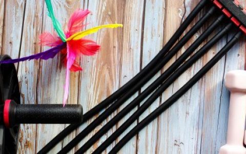 健身达人称号，健身达人和运动达人有什么不一样