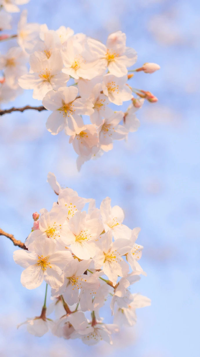 朋友圈抖音精致句子文案，为生活加一点甜味，不然真的有些苦