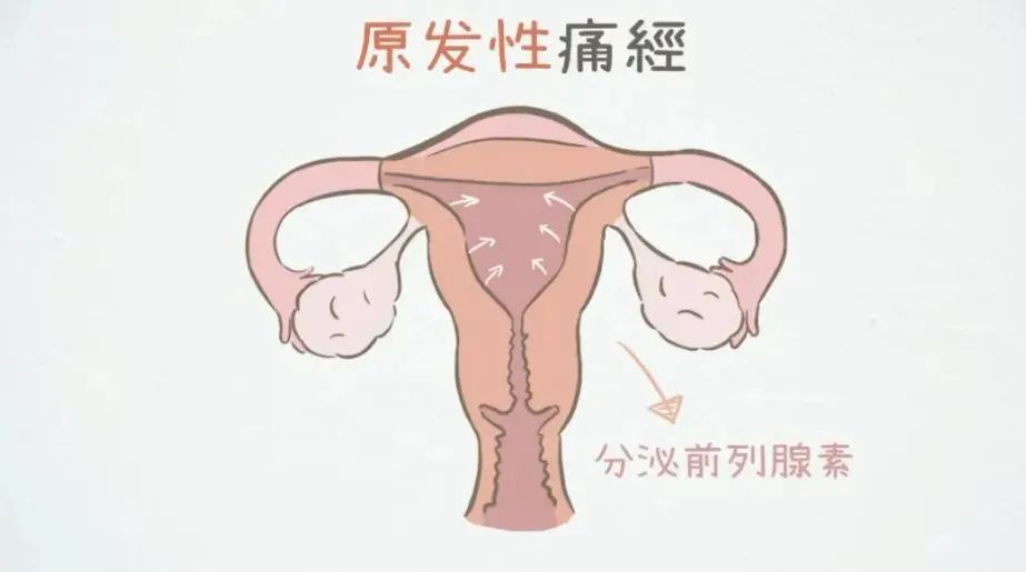 《如何缓解女朋友的痛经问题》（很全！建议收藏）