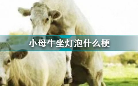 小母牛坐在灯泡上，母牛坐在灯泡上什么意思