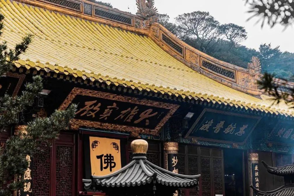 人生必去的普陀山，超全拜佛攻略整理好了