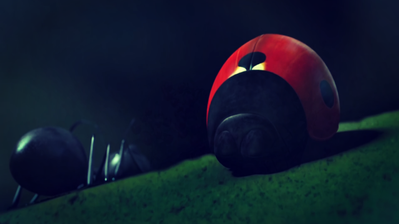 蚂蚁看到的世界是什么样子的？人类看到的高维生命是什么？