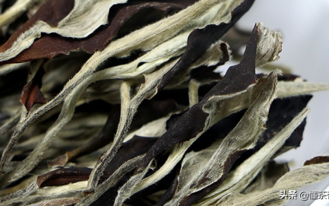 有首歌名叫什么茶(介绍一款我最喜欢的茶)