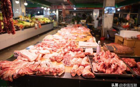 猪肉价格大跌25%! “猪周期”开启价格下行趋势(2月1日猪价:上涨区域减少)