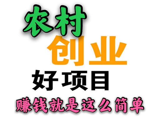 找项目的看过来,这几个新项目很不错,发家致富很容易