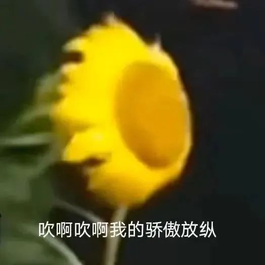 男生特别容易湿是性欲太强了吗？