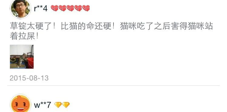 猫：甘霖娘累，鸡掰人类