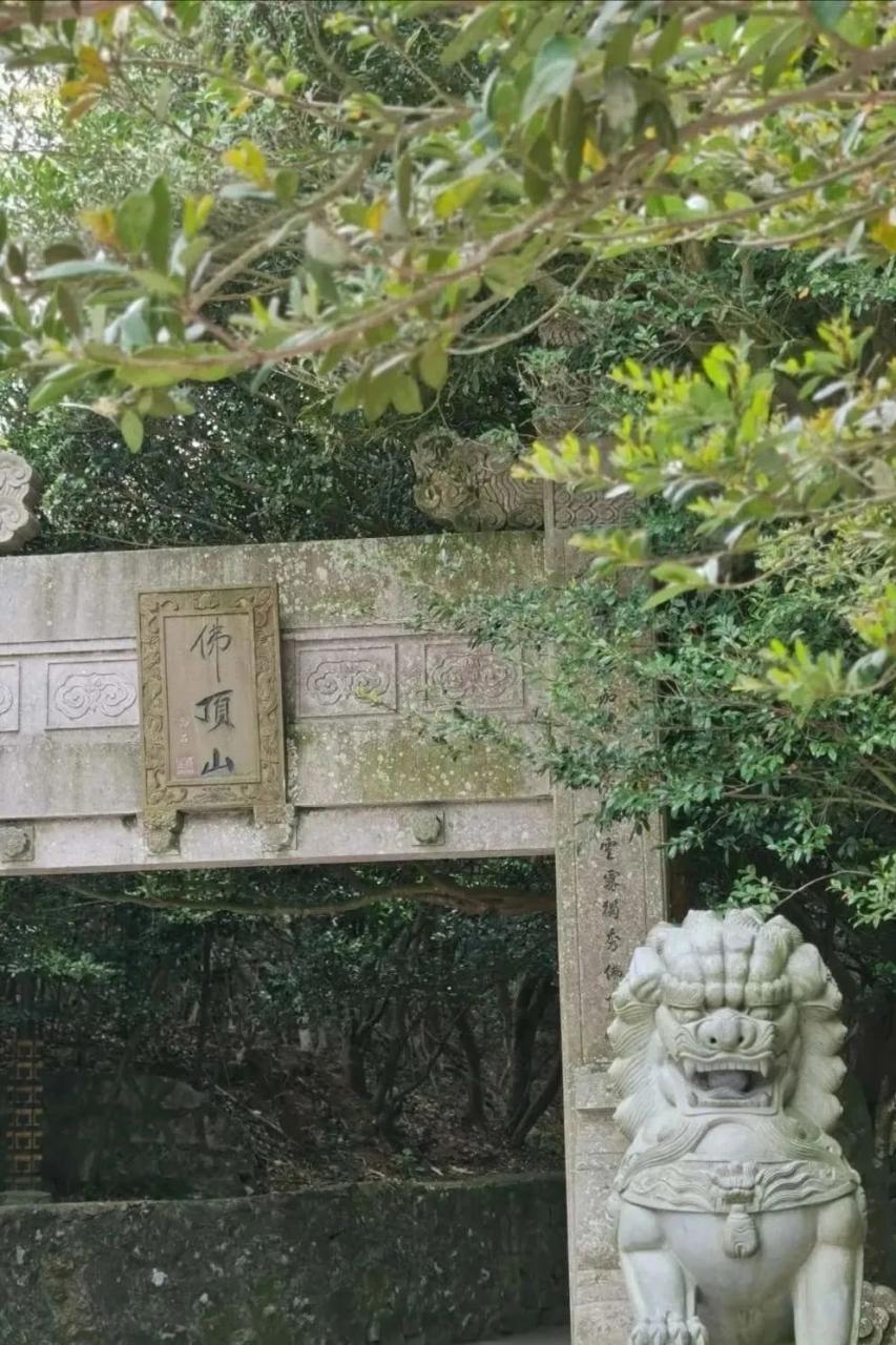 人生必去的普陀山，超全拜佛攻略整理好了