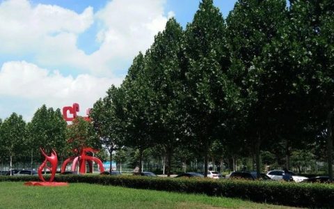 如何有效保持常年单身