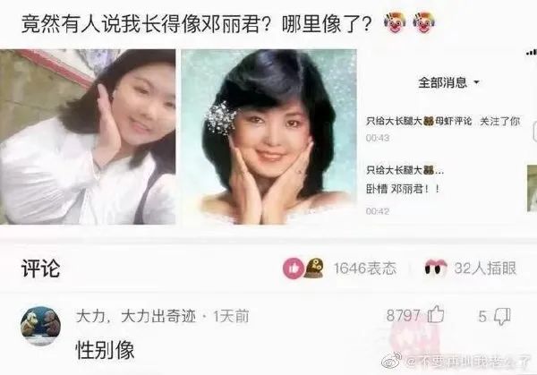 猫：甘霖娘累，鸡掰人类