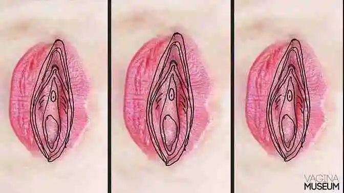 探索情欲，先从了解女人的下面开始！