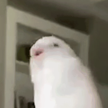 干货教学｜女生在上面，怎么动？