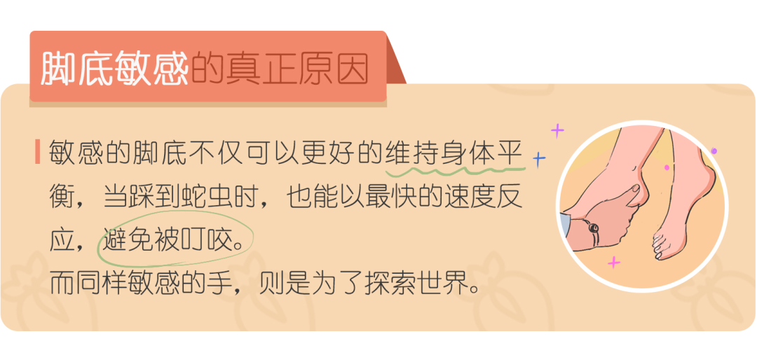 女生「身体敏感点」一览表（未成年勿入）