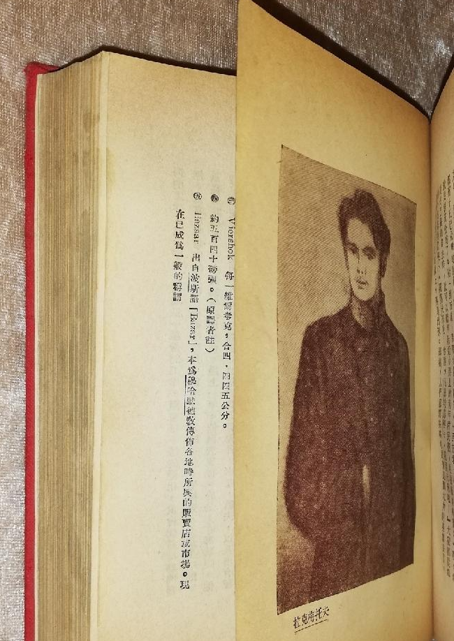 车尔尼雪夫斯基《怎么办》中的意识流技巧，160年后依旧历久弥新