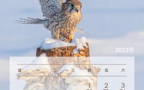 2022年1月放假日历，2022年过年放假日历