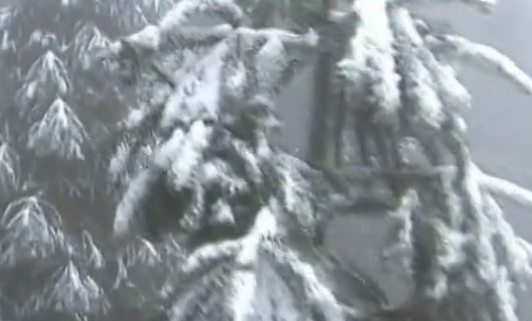 四川大山惊现呼风唤雨的古井，只要揭开井盖就下雨，专家：催化剂