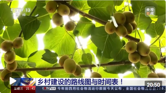 乡村建设的路线图与时间表