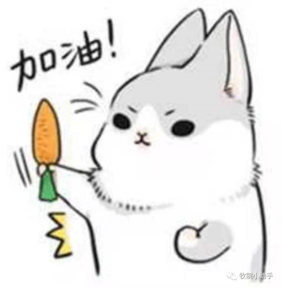 攻略 || 在牧院，如何有效的保持单身？