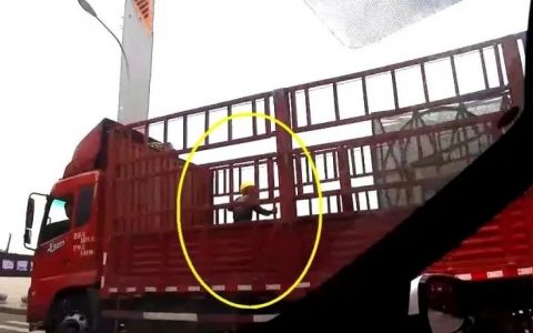 货车违法载人丨只图方便不顾安全，生命容不得侥幸！