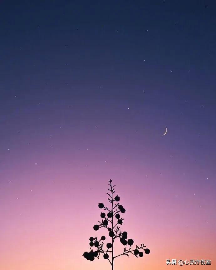 适合摘抄收藏的走心文案