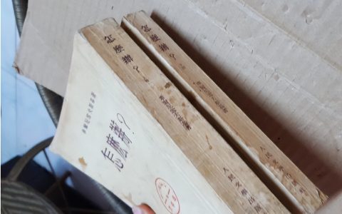 车尔尼雪夫斯基在《怎么办》中的意识流技巧，时隔160年依然经久不衰。