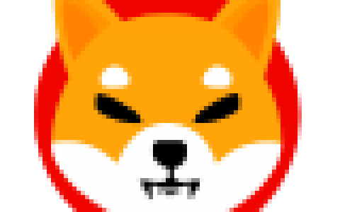 2021数字货币排名前二十(2021全球数字货币总市值)