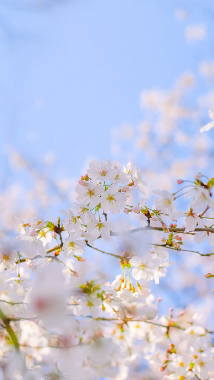 朋友圈抖音精致句子文案，为生活加一点甜味，不然真的有些苦